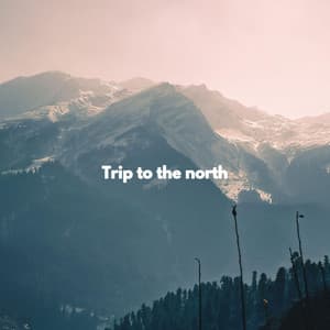 Trip to the north - Ochtendmuziek