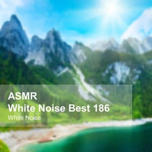 White Noise ASMR Best 186 - White Noise