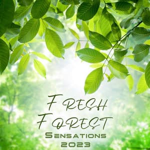 Fresh Forest Sensations 2023: Zen Freedom Of The Spirit, The Landscape Background - Living Liquid