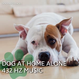Dog at Home Alone 432 Hz Music - Dog Frequencies