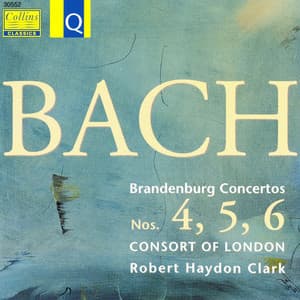 Bach: Brandenburg Concertos 4 - 5 - 6 - Johann Sebastian Bach