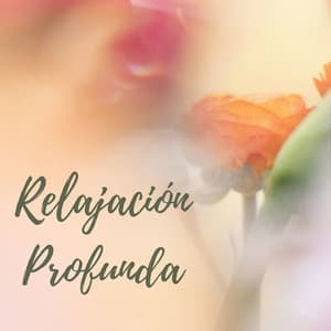Relajación Profunda: Música de Spa para Dormir y Meditar - Buena Mañana