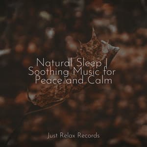 Natural Sleep | Soothing Music for Peace and Calm - Massage Therapy Music