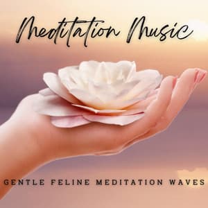 Calm Cat Oasis: Meditation Music - Stress Relief Calm Oasis