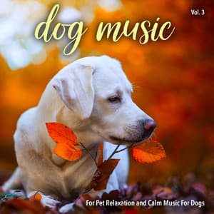 Dog Music For Pet Relaxation and Calm Music For Dogs, Vol. 3 - Dog Music