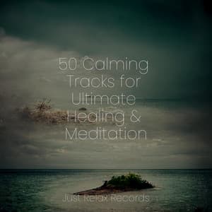 50 Calming Tracks for Ultimate Healing & Meditation - Pro Sound Effects Library