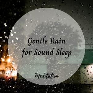 Meditation: Gentle Rain for Sound Sleep - Forest Rain FX