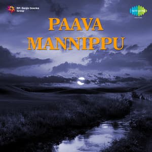 Paava Mannippu - Mohamed Raffee