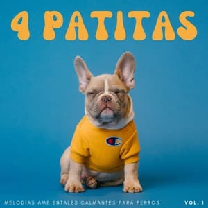 4 Patitas: Melodías Ambientales Calmantes Para Perros Vol. 1 - Algo de Música