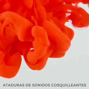 Ataduras De Sonidos Cosquilleantes ASMR - Calma ASMR White Soughs