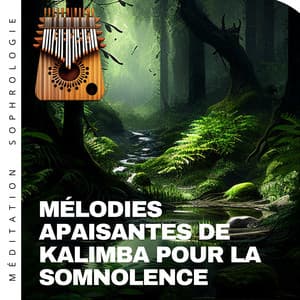 Mélodies apaisantes de kalimba pour la somnolence - Méditation Sophrologie