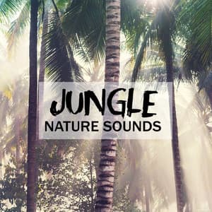 Jungle Nature Sounds : Music for Relaxation, Stress Relief, Deep Breathe & Zen Meditation - Natural Soothing Melodies