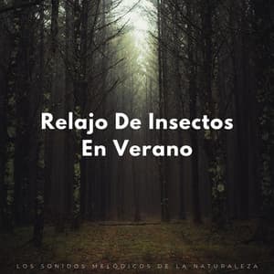 Relajo De Insectos En Verano: Los Sonidos Melódicos De La Naturaleza - Naturaleza nativa americana