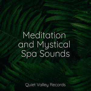 Meditation and Mystical Spa Sounds - Meditação Yoga