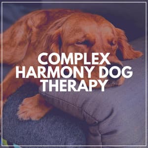 Complex Harmony Dog Therapy - Jazz for Dogs
