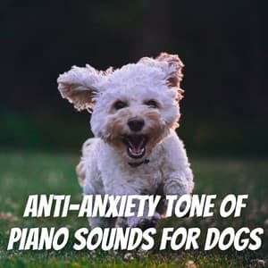 Anti-Anxiety Tone of Piano Sounds for Dogs - Piano Music To Fall Asleep Faster
