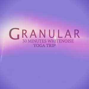30 Minutes White Noise Yoga Trip - Granular