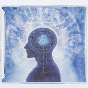 समृद्धि का पंज: बिल्ली स्वर्ग की ओर - Hz Frequency Zone