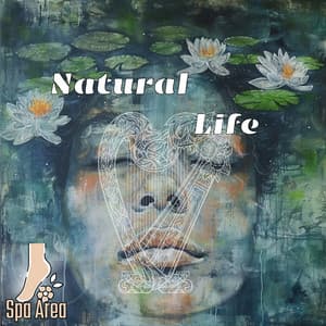 Natural Life - Spa Area