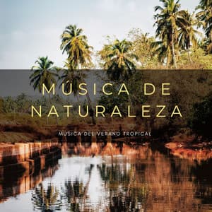 Música De Naturaleza: Música Del Verano Tropical - Sonidos de la Naturaleza Ruido Blanco Para Bebes