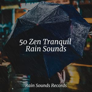 50 Zen Tranquil Rain Sounds - Relax Meditate Sleep