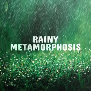 Rainy Metamorphosis: Healing Rainfall ASMR for Relaxation in Bed - Raindrops Healing Music Universe