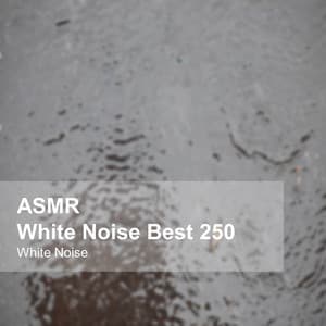 White Noise ASMR Best 250 - White Noise
