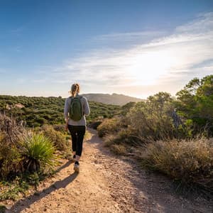 Orquesta De Relajación: Suites Armónicas Suaves - Jose Garcia