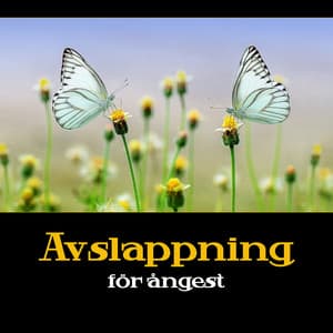 Avslappning för ångest - Lugna ner och känna harmoni i sinnet, Bli av med stress och negativa känslor, Meditera och slappna av - Klubb med hälsosam avkoppling