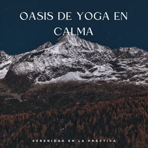 Oasis De Yoga En Calma: Serenidad En La Práctica - Fuerza Positiva