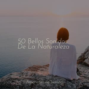 50 Bellos Sonidos De La Naturaleza - Saludo al Sol Sonido Relajante