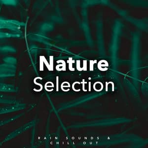 Nature Selection - Nature Sounds