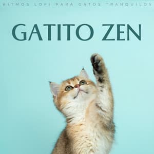 Gatito Zen: Ritmos Lofi Para Gatos Tranquilos - Relajante Lo Fi