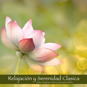 Relajación y Serenidad Clasica - Musica Relajante Clasica y Nanas para Bebes - Templo de la Luna