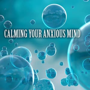 Calming Your Anxious Mind: Anti Stress Relax Music - Calm Music Ensemble