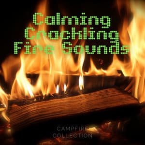 Calming Crackling Fire Sounds - Sleep Sounds of Nature & Campfire Sounds