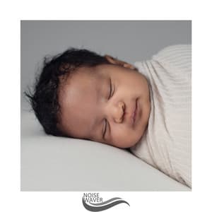 Positive Vibes - Fans & White Noise