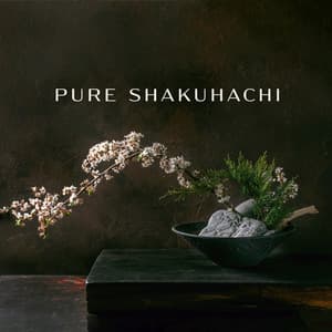 Pure Shakuhachi: Lost in Japan, Music for Reflection and Peaceful Heart - Om Meditation Music Academy