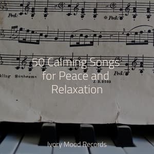 50 Calming Songs for Peace and Relaxation - Ivory Mood