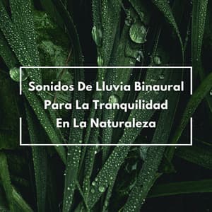 Sonidos De Lluvia Binaural Para La Tranquilidad En La Naturaleza - La fábrica de ritmos binaurales