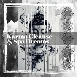 Karma Cleanse & Spa Dreams - Zephyr Echoes