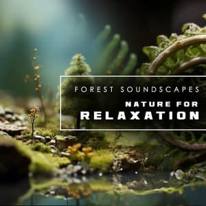 Nature for Relaxation - Forest Soundscapes