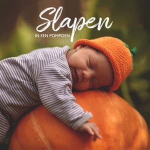 Slapen in Een Pompoen - Ontspanning Muziek Club