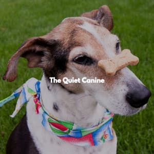The Quiet Canine - Dog Sleeping Soundtracks Deluxe
