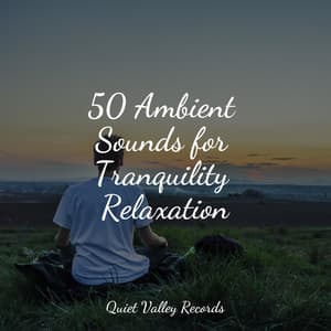 50 Ambient Sounds for Tranquility Relaxation - Yoga Namaste