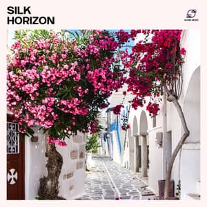 Silk Horizon: Chill House - Cafe Chillout de Ibiza