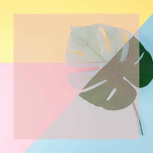 Feelings for Smooth Chilled Days - New York Restaurant Jazz