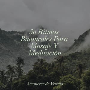 50 Ritmos Binaurales Para Masaje Y Meditación - Deep Sleep Relaxation
