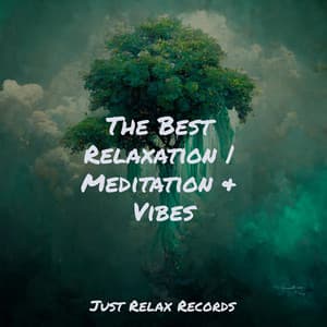The Best Relaxation | Meditation & Vibes - Deep Sleep Meditation