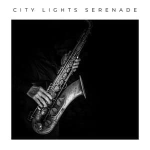 Moonlit Melodies - Hotel Lobby Music